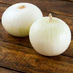 CEBOLLA BLANCA