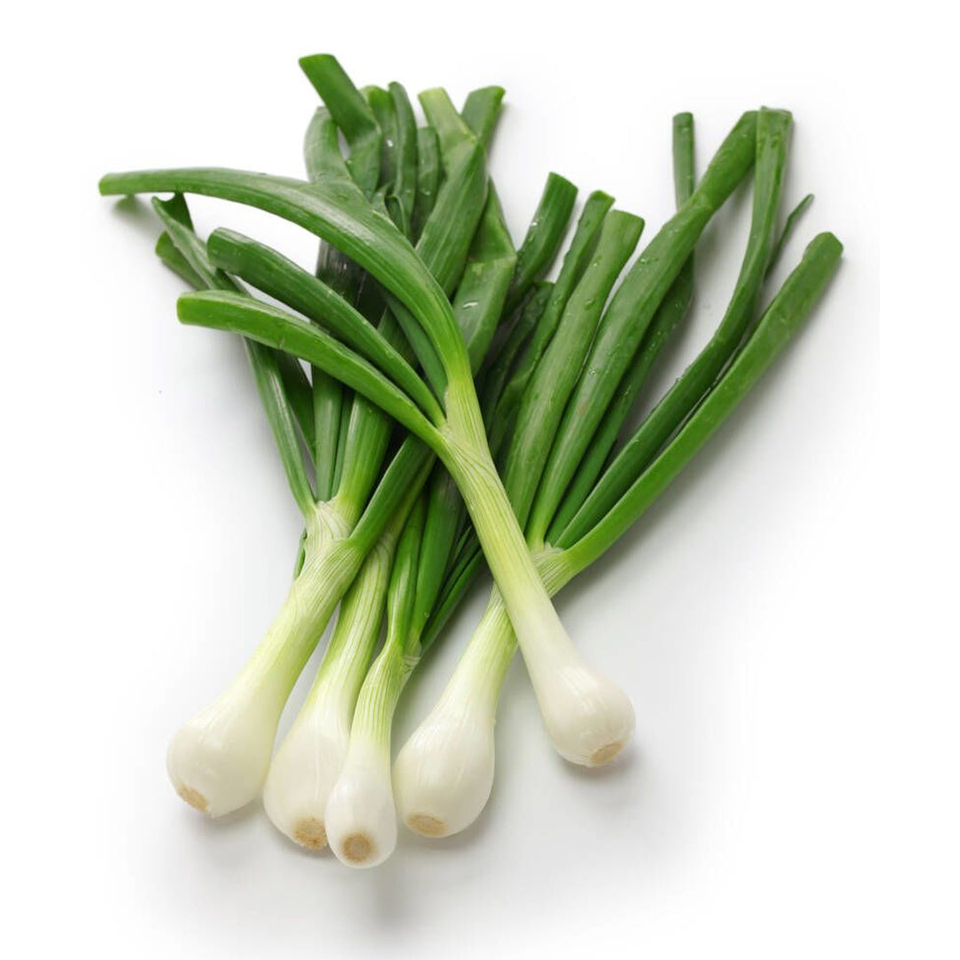 CEBOLLA DE CAMBRAY