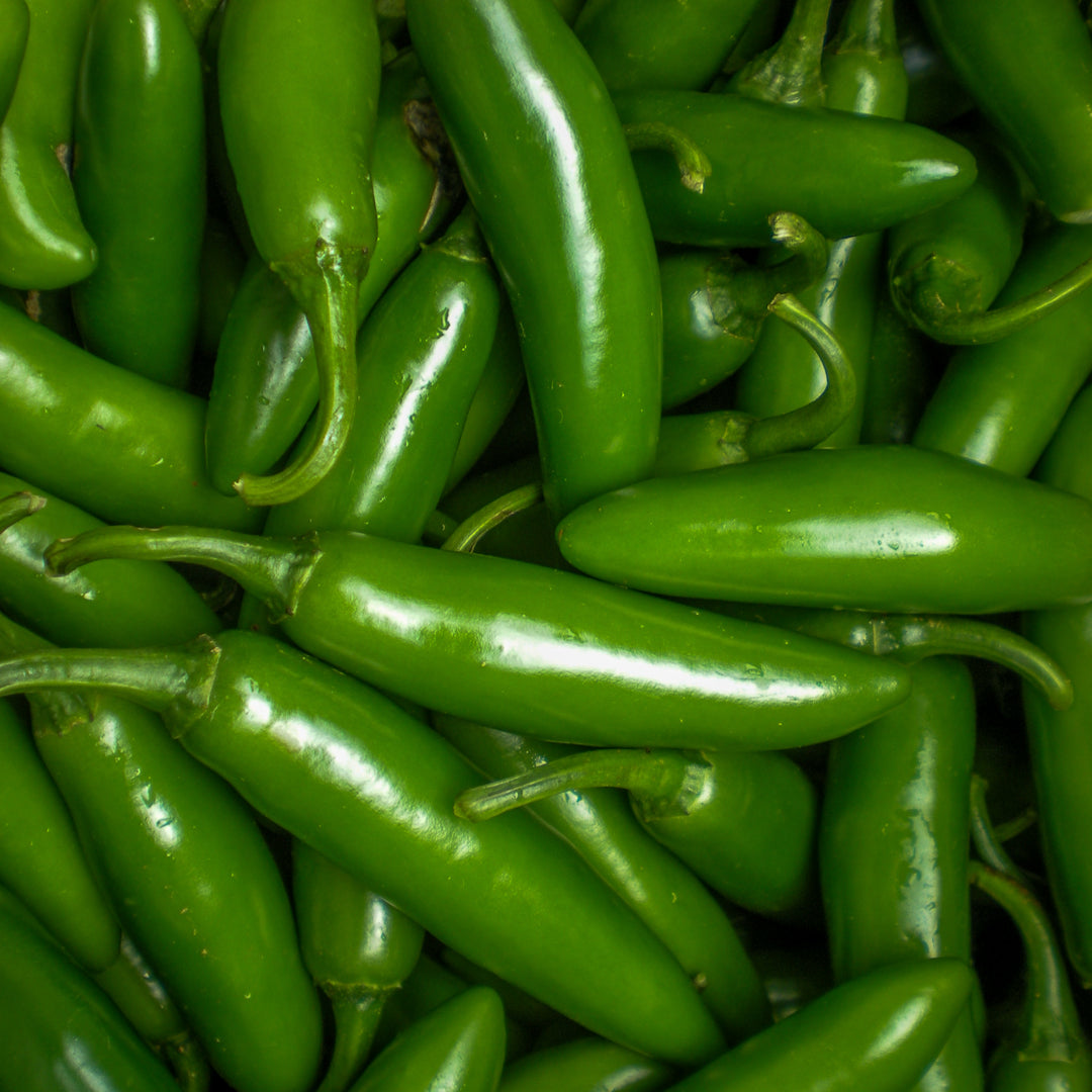 Chile JALAPEÑO