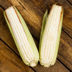 ELOTES BLANCOS