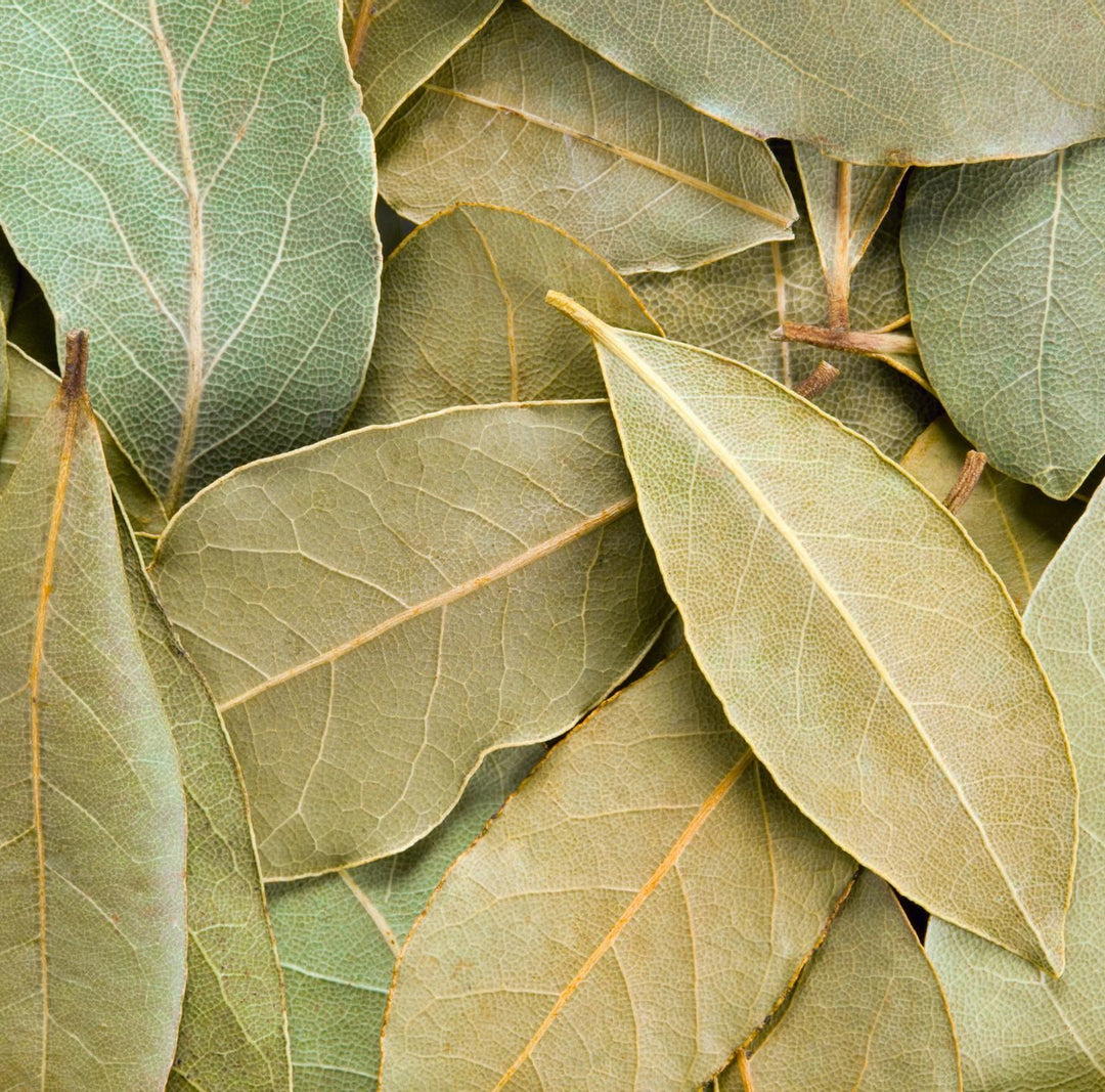 LAUREL