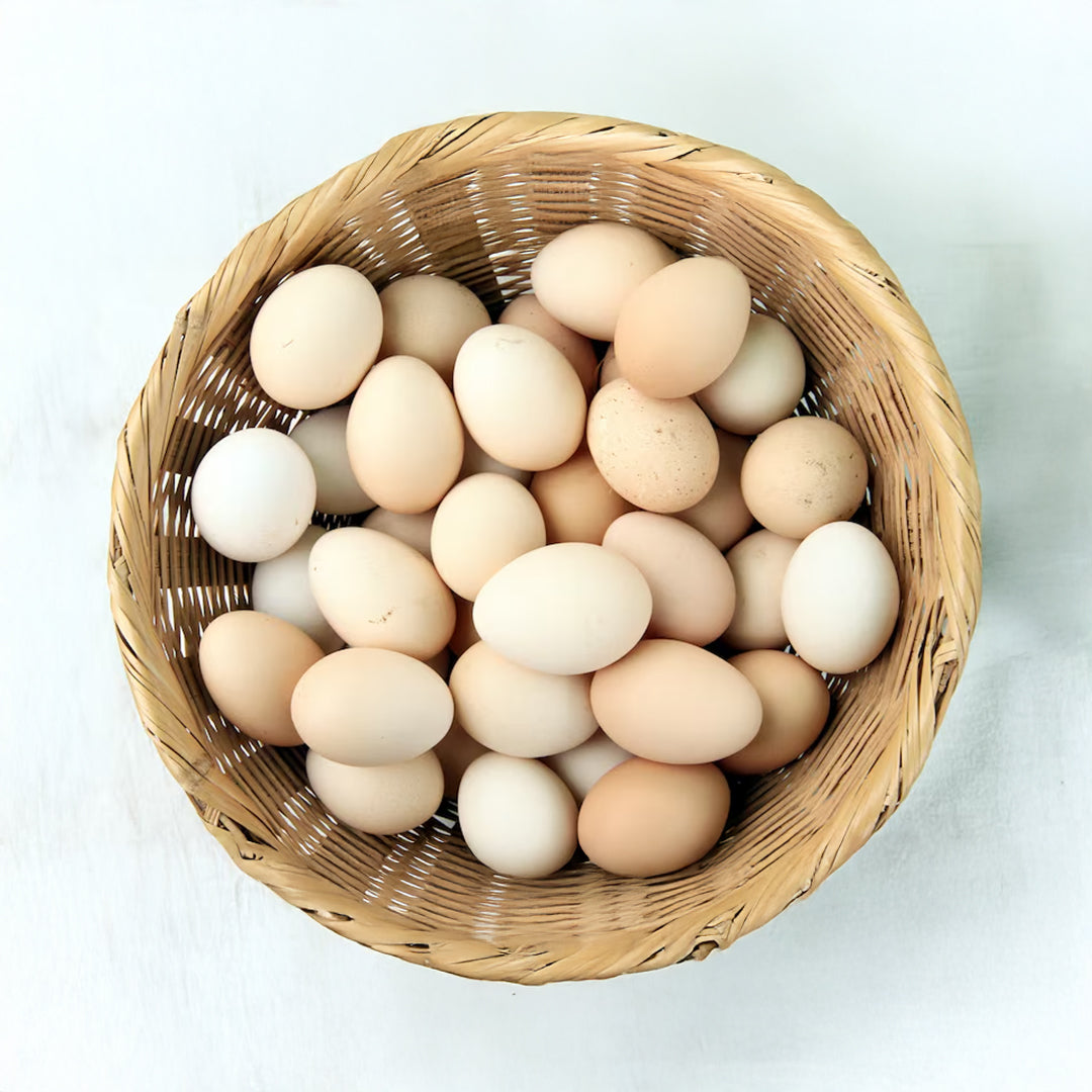 HUEVO FRESCO GALLINA LIBRE DE JAULA