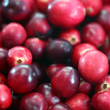 ARANDANOS