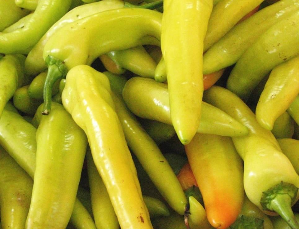 CHILE GUERO