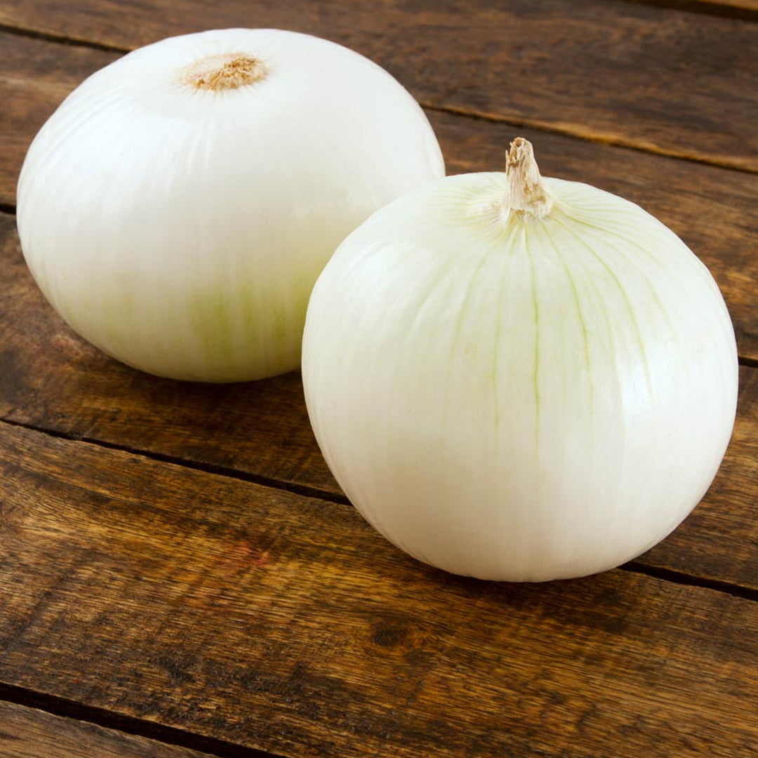 CEBOLLA BLANCA