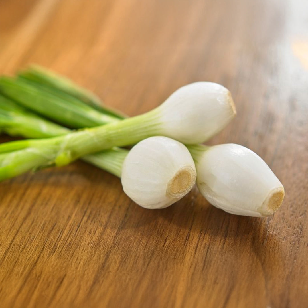 CEBOLLA DE CAMBRAY