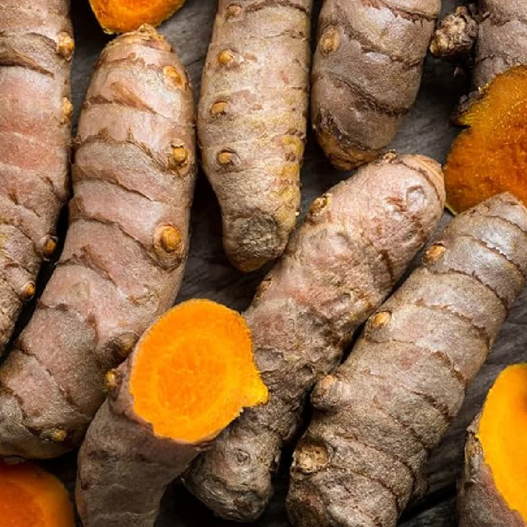 CURCUMA RAÍZ