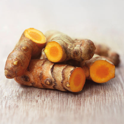 CURCUMA RAÍZ