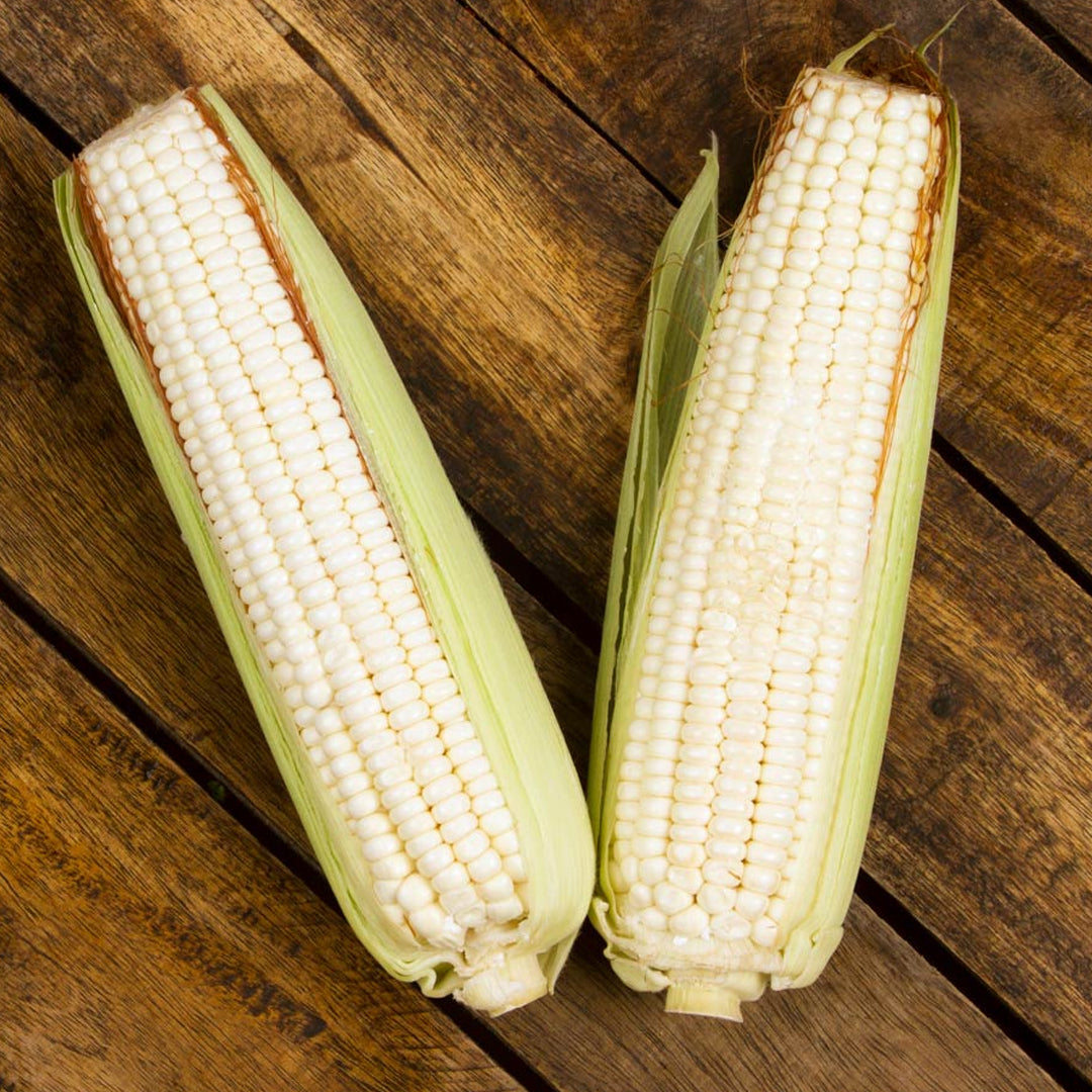 ELOTES BLANCOS