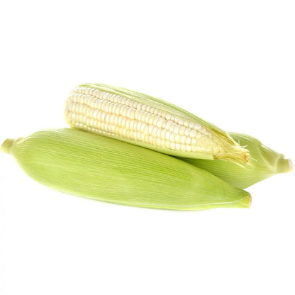 ELOTES BLANCOS