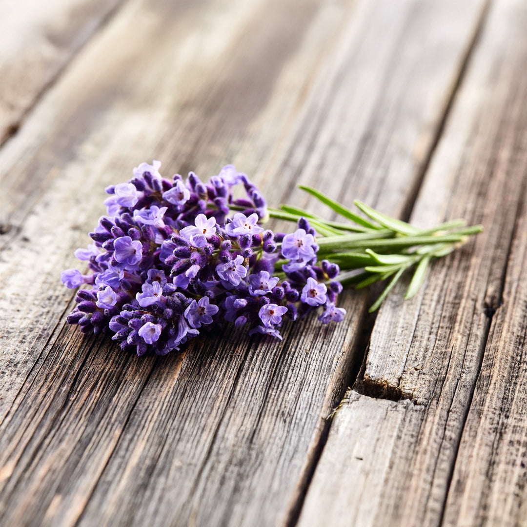 LAVANDA