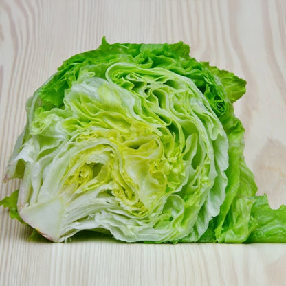 LECHUGA ROMANA