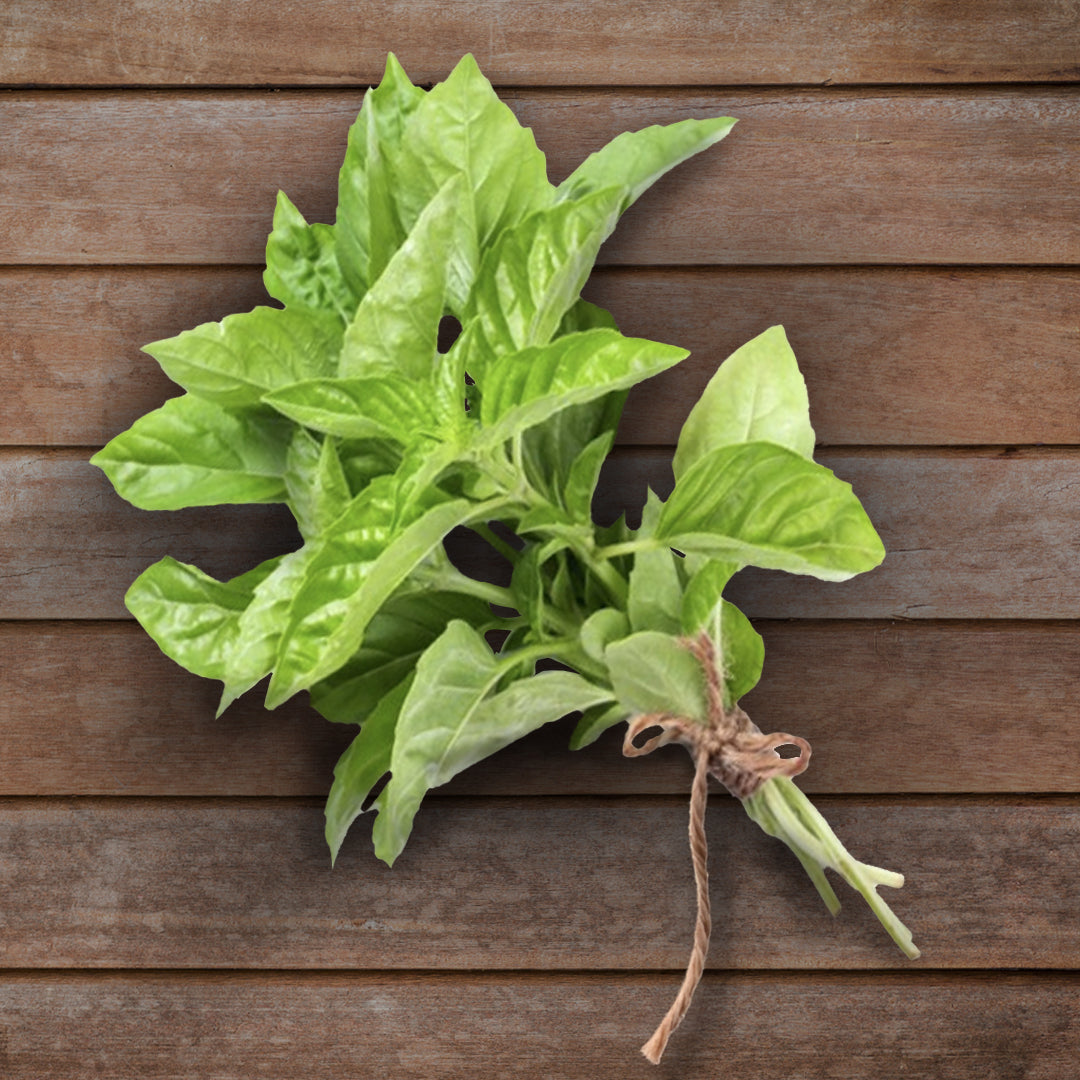ALBAHACA