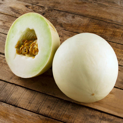 MELON CANTALOUPO