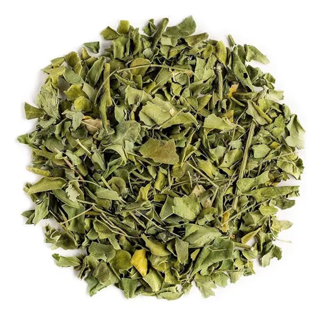 MORINGA EN HOJA