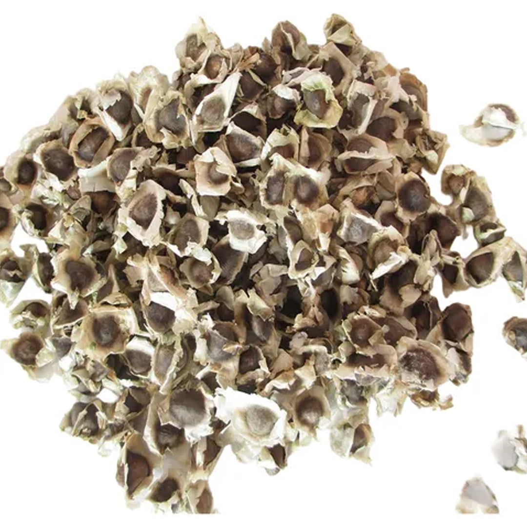 MORINGA EN SEMILLA BOLSA CON 100 GR