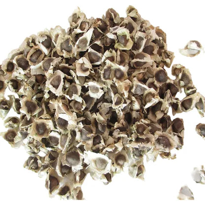 MORINGA EN SEMILLA BOLSA CON 100 GR