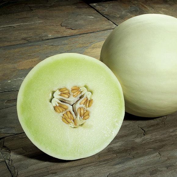 MELON VERDE