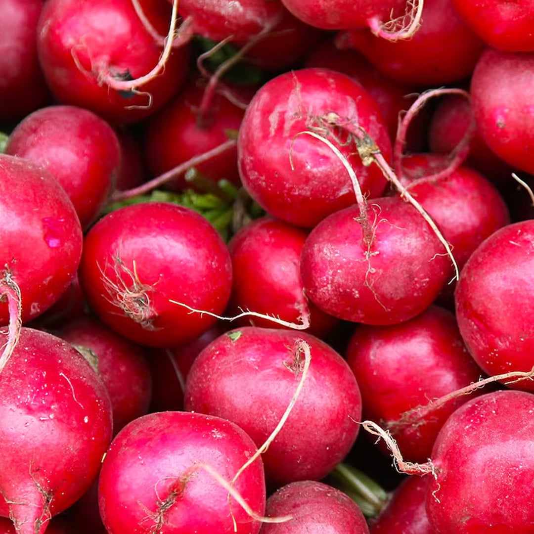 RABANOS