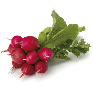 RABANOS