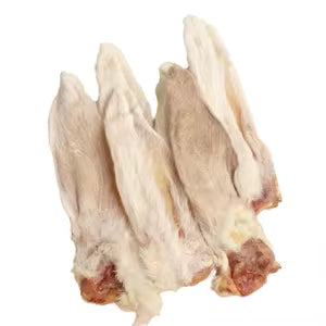 OREJA DE CONEJO