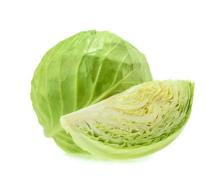 REPOLLO
