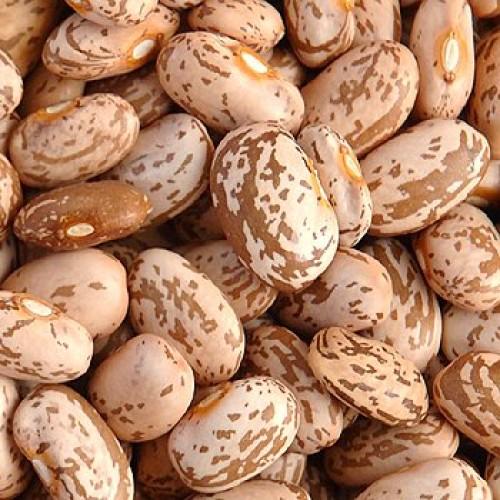 FRIJOL PINTO
